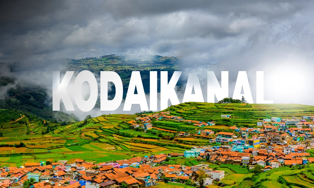 Best Travel Agency in Kodaikanal – Peter Holidays Queen Tours and Travels - Image 3