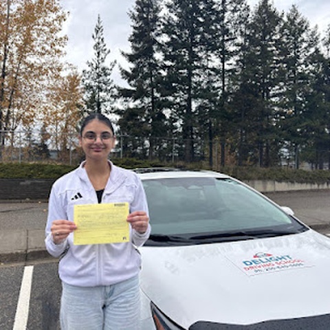 Why Professional Driving Lessons Are Important for Safe and Confident Driving - Image 1